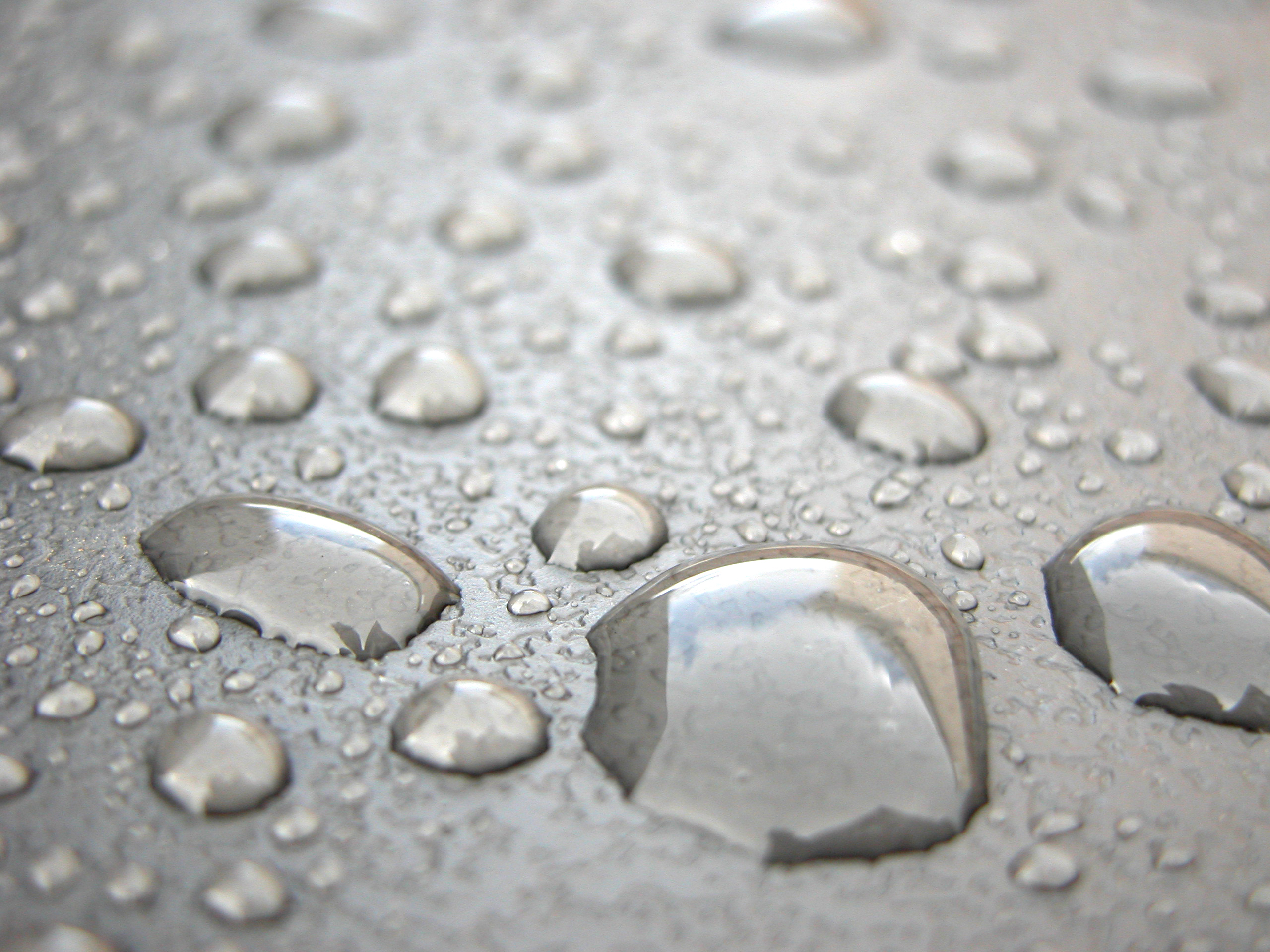 Hydrophobic